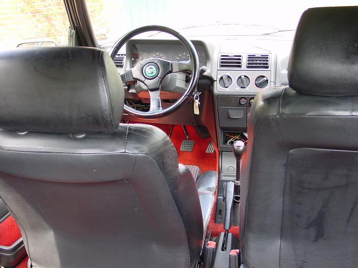 205 GTi (31)